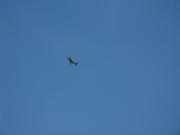 Horizon_Airmeet_2013_Set_2 066